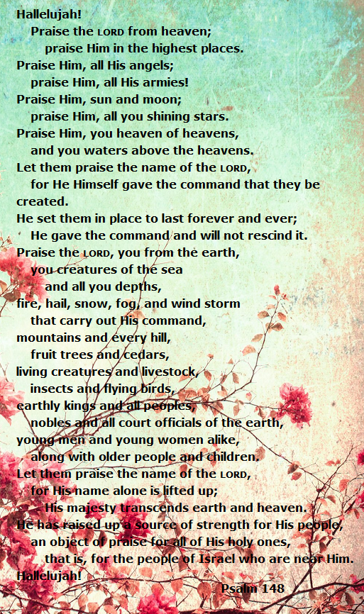 Sunday Praise - Psalm 148 - God Treasure